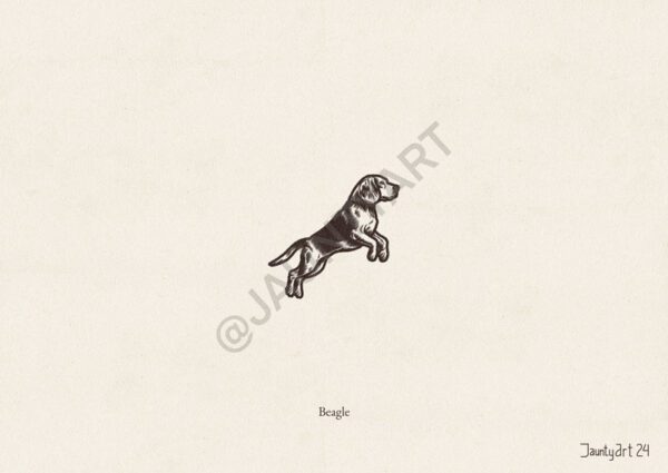 Beagle Illustration