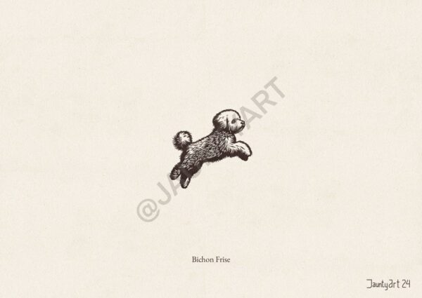 Bichon Frise Illustration