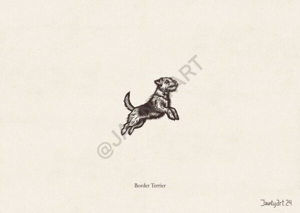 Border Terrier Illustration