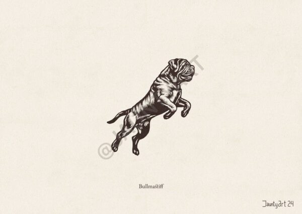 Bullmastiff Illustration