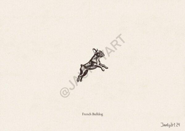 French Bulldog Illustration