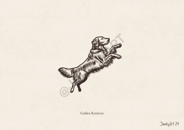 Golden Retriever Illustration