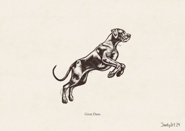 Great Dane Illustration
