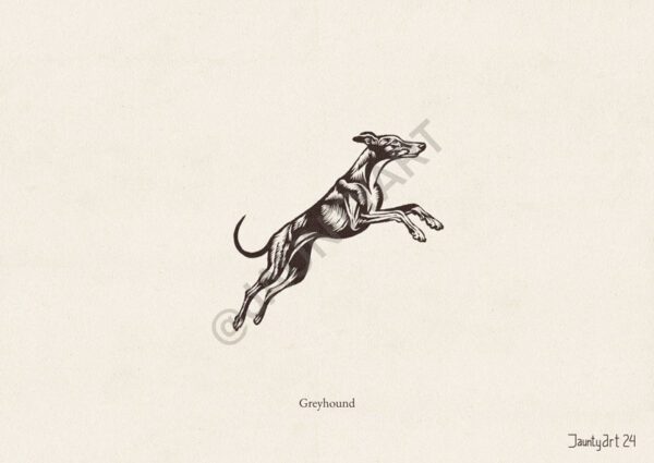 Greyhound Illustration