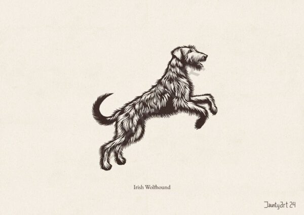 Irish Wolfhound Illustration