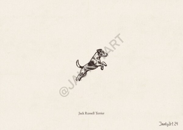 Jack Russell Terrier Illustration