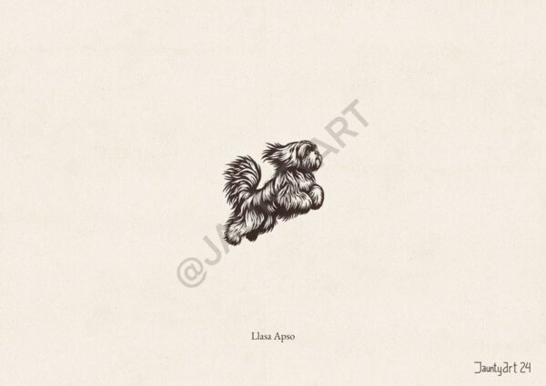 Llasa Apso Illustration