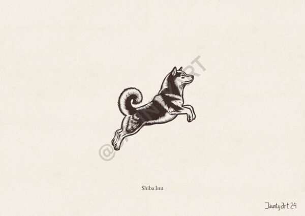 Shiba Inu Illustration