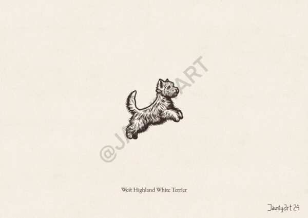 West Highland White Terrier Illustration