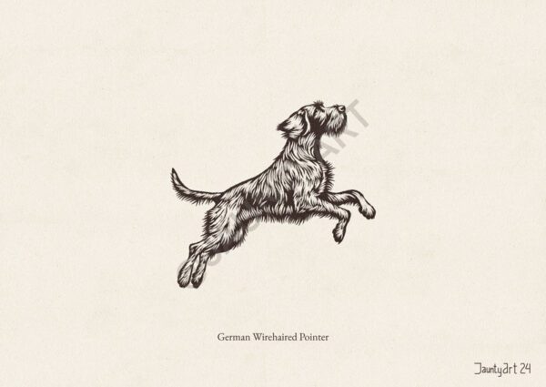 German Wirehaired Pointer Illustration